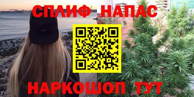 прущие грибы Абинск