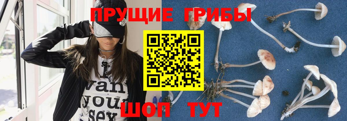 Беслан  Псилоцибиновые грибы GOLDEN TEACHER  Вход с VPN  Галлюциногенные грибы мухоморы 
