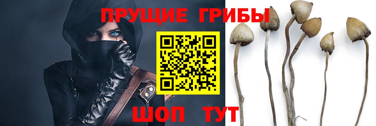 Псилоцибиновые грибы мухоморы  купить наркотик  Беслан 